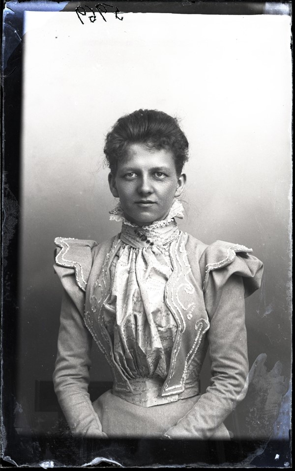 M. Sander 
